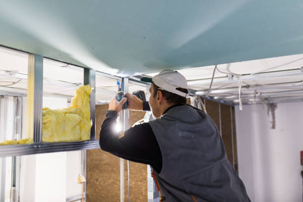 Best Insulation Maintenance and Repair in Virden, IL
