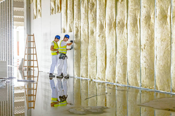 Best Residential Insulation in Virden, IL